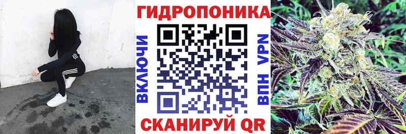 МЕФ Курчатов