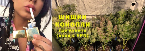 ECSTASY Медногорск