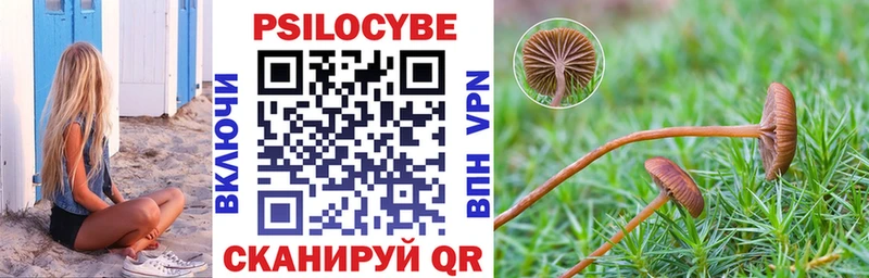 Галлюциногенные грибы GOLDEN TEACHER  купить наркотик  Курчатов 