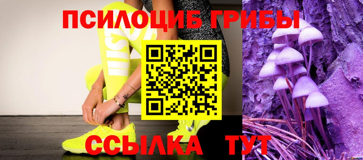Галлюциногенные грибы Magic Shrooms  Галлюциногенные грибы ЛСД  Вход с VPN  Курчатов 