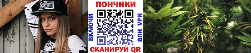 дарнет шоп  ОМГ ОМГ ONION  Шишки марихуана Bruce Banner  Курчатов 